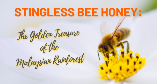 Stingless Bee Honey – The Golden Treasure of the Malaysian Rainforest