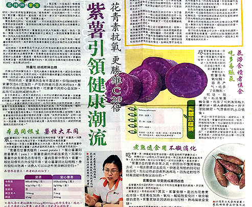 【草草療事】紫薯引領健康潮流花青素抗氣 更勝維C20倍